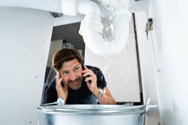 Best Emergency Plumber  in Nekoosa, WI