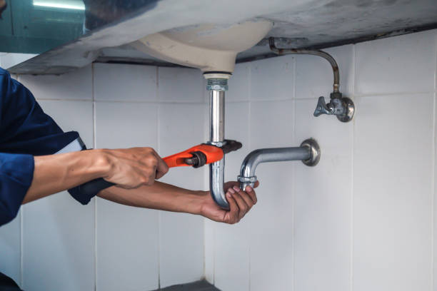 Best Affordable Plumber Near Me  in Nekoosa, WI