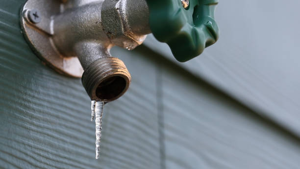 Best Plumbing Repair Near Me  in Nekoosa, WI
